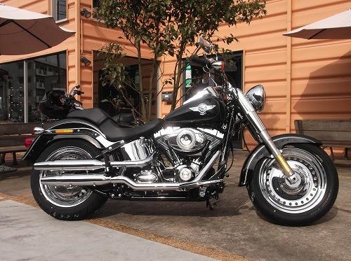 Harley-Davidson Softail Alle Modellen Onderdelen Handleiding 2016 2017 2018 2020