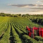 Case IH Coffee Express 100 Multi Harvester Official Workshop Service Repair Manual